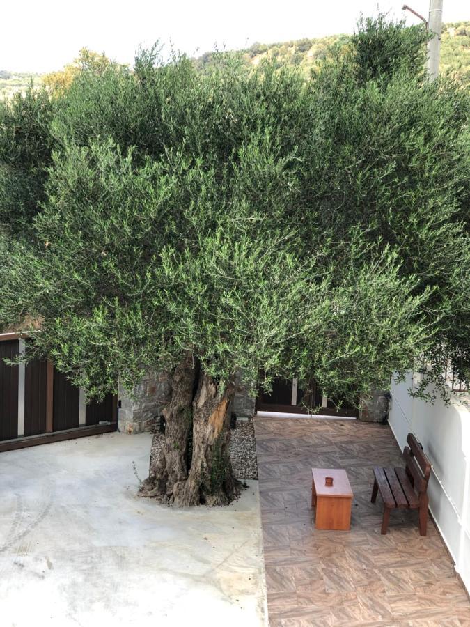 Creta Galini House Prázdninový dům